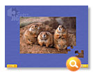 Super Jigsaw Adorable Animals game download