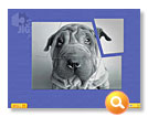 download Super Jigsaw Adorable Animals