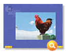 Super Jigsaw Adorable Animals online demo