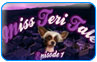 Miss Teri Tale game download
