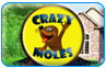 Crazy Moles free game download Crazy Moles Action & Arcade games free download